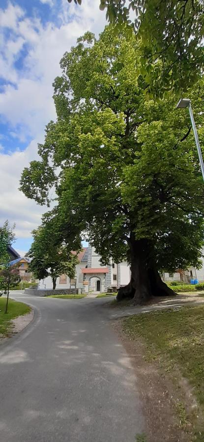 Apartmaji Mojca Vendégház Križe Kültér fotó